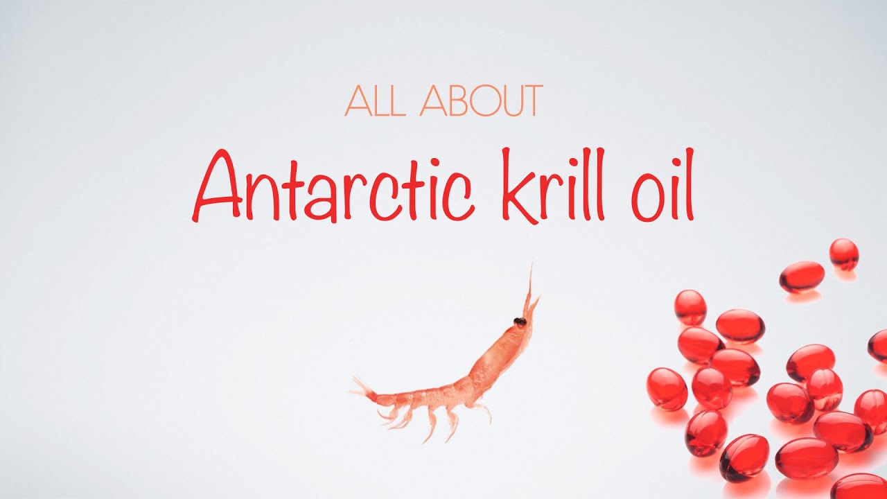 All about Antarctic krill oil... YouTube