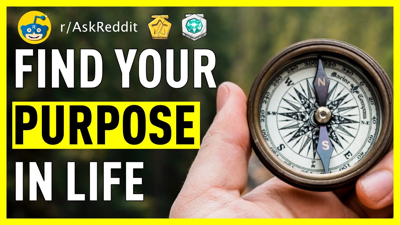 What Is Your Purpose In Life Reddit