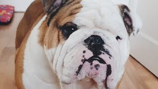 People Forget ... Pablo Used To Be A Drama Queen Himself