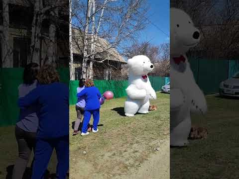 С Днем Рождения 🐻❄️ ( Сергей Рыбачёв - Пожелать хочу, не ходить к врачу)