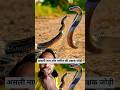 asali nag aur nagin ki yah Hai Jodi #snake #usa