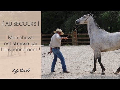 [AU SECOURS]
