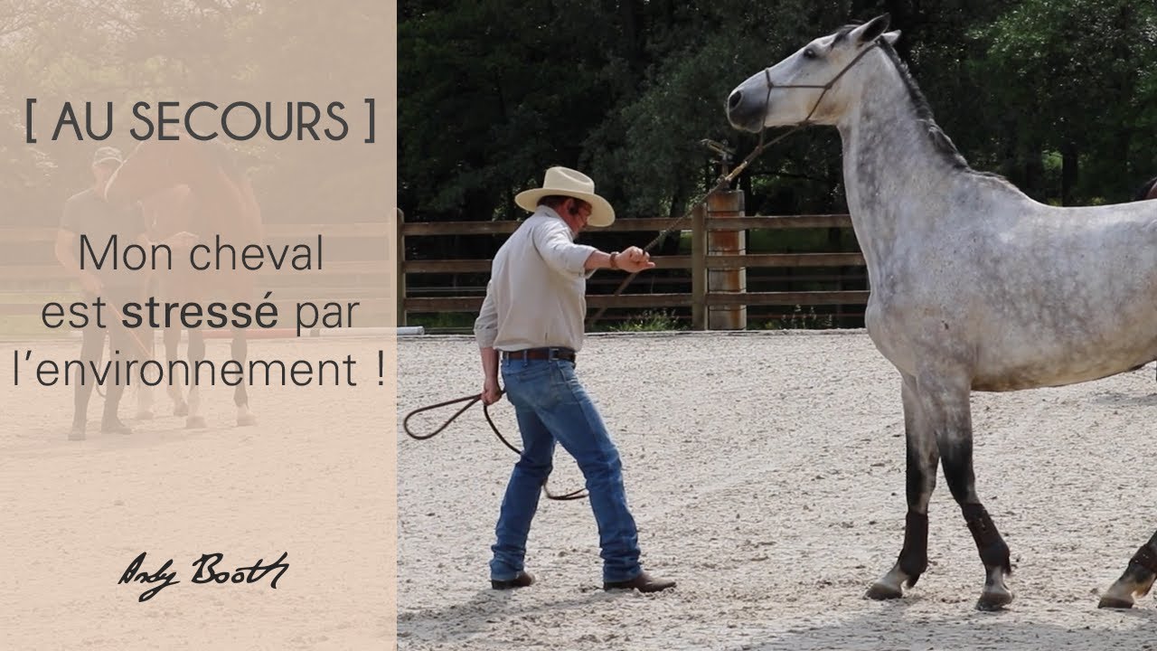 [AU SECOURS] Mon cheval est stressé par l'environnement !