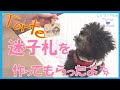愛犬Torte用の迷子札を作ってもらったよ☆☆最後おまけあり♪（トイプードルのTorte channel)