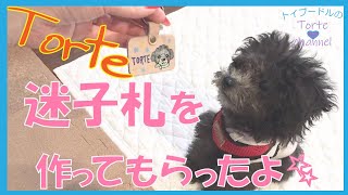 愛犬Torte用の迷子札を作ってもらったよ☆☆最後おまけあり♪（トイプードルのTorte channel)