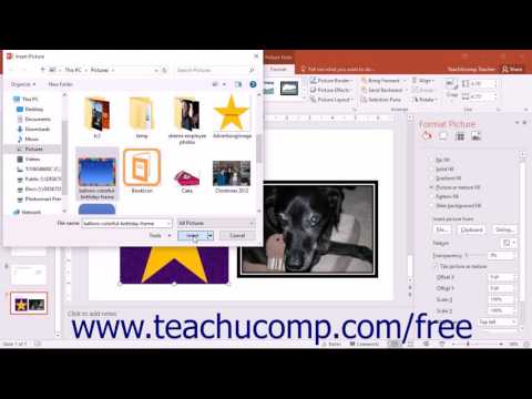 PowerPoint 2016 Tutorial Fill & Line Settings Microsoft Training
