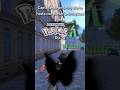 Día 10 - Capturando un shiny diario hasta completar la ShinyDex de Pokémon Leyendas Z-A - Vivillom