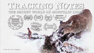 Tracking Notes  the Secret World of Mountain Lions TRAILER