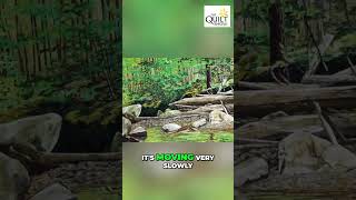 Shenandoah Art: Discovering Beauty in Natures Reflections #shorts