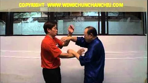 Wing Chun Sifu Chan Chiu Chi Sao