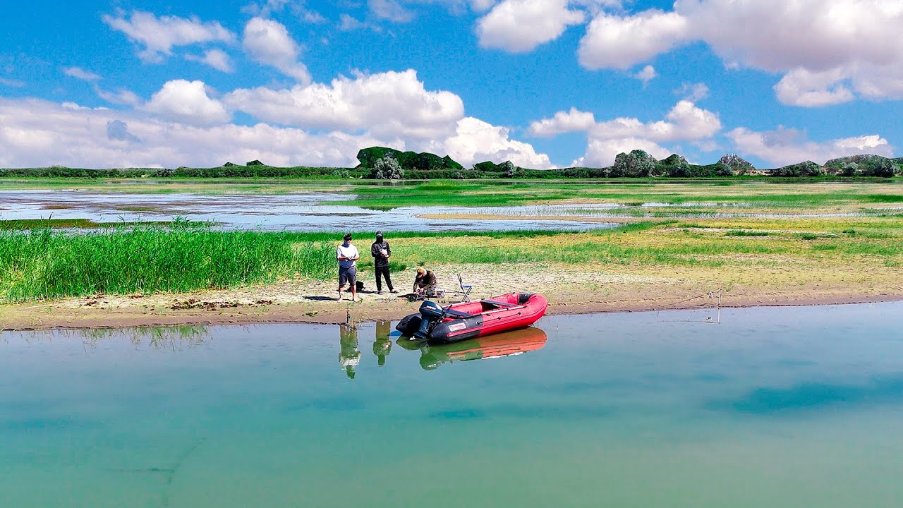 НА ЭТОМ ОСТРОВЕ ВОДЯТСЯ ТРОФЕИ !!! Рыбалка посреди реке ИЛИ, июнь 2025, часть 2