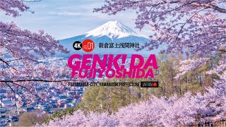 4K動画］広報ふじよしだ6月号（新倉山浅間公園・忠霊塔） - YouTube
