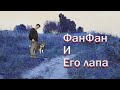 ФанФан и его Лапа