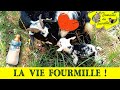 Vlog 17  la vie fourmille  naissances en direct bbs  gogo biberon douceur nature