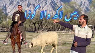 20 lac wala gora || balti short clip