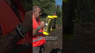 🎈Protoxyde d'azote : les bouteilles envahissent Nîmes ?