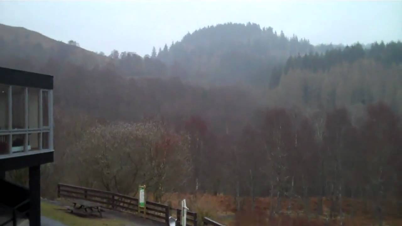 Queen Elizabeth Forest Park