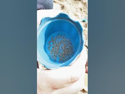 Песок and сито - YouTube
