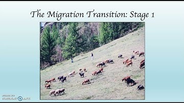 102 Migration Transition Model