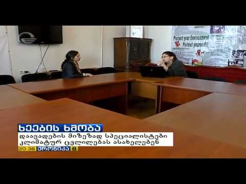 შორენა კოკორაშვილის სიუჟეტი „ქრონიკაში“