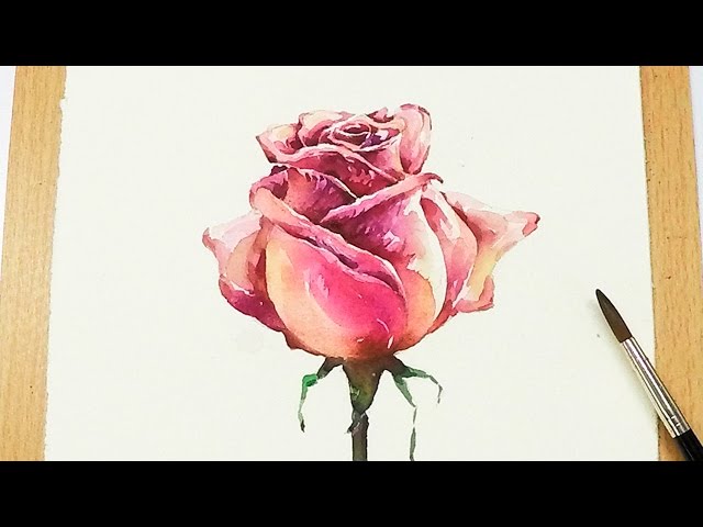 How to paint a Yellow Red Rose with Watercolors! Beginner friendly  step-by-step Watercolor Painting Lesson — Lioba
