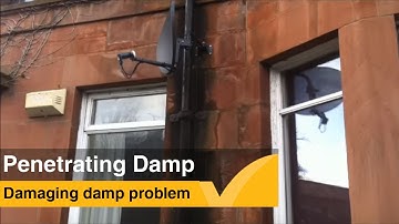 Is it Penetrating damp? Expert advice on identifying damp.