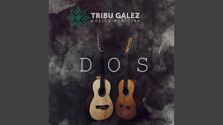 Video thumbnail of "Tribu Galez - Fuego Ancestral"
