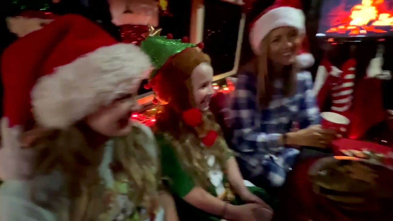 Christmas Light Tour with Citybound Limo