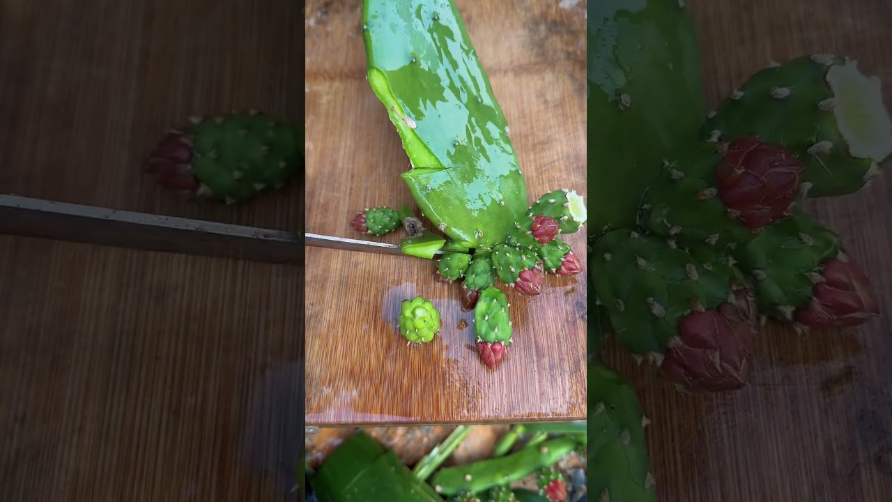 Tr 346055 mini rotary tillage and ridging all-in one tree 🌲 short view