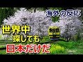 【海外の反応】「日本を愛するはずだよ」日本の車窓風景がおとぎの世界のようだと海外感動~グレイトにっぽん!