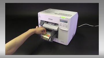 Epson ColorWorks C3500 | Borderless Printing