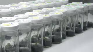 Pideka Corporativo 2 0