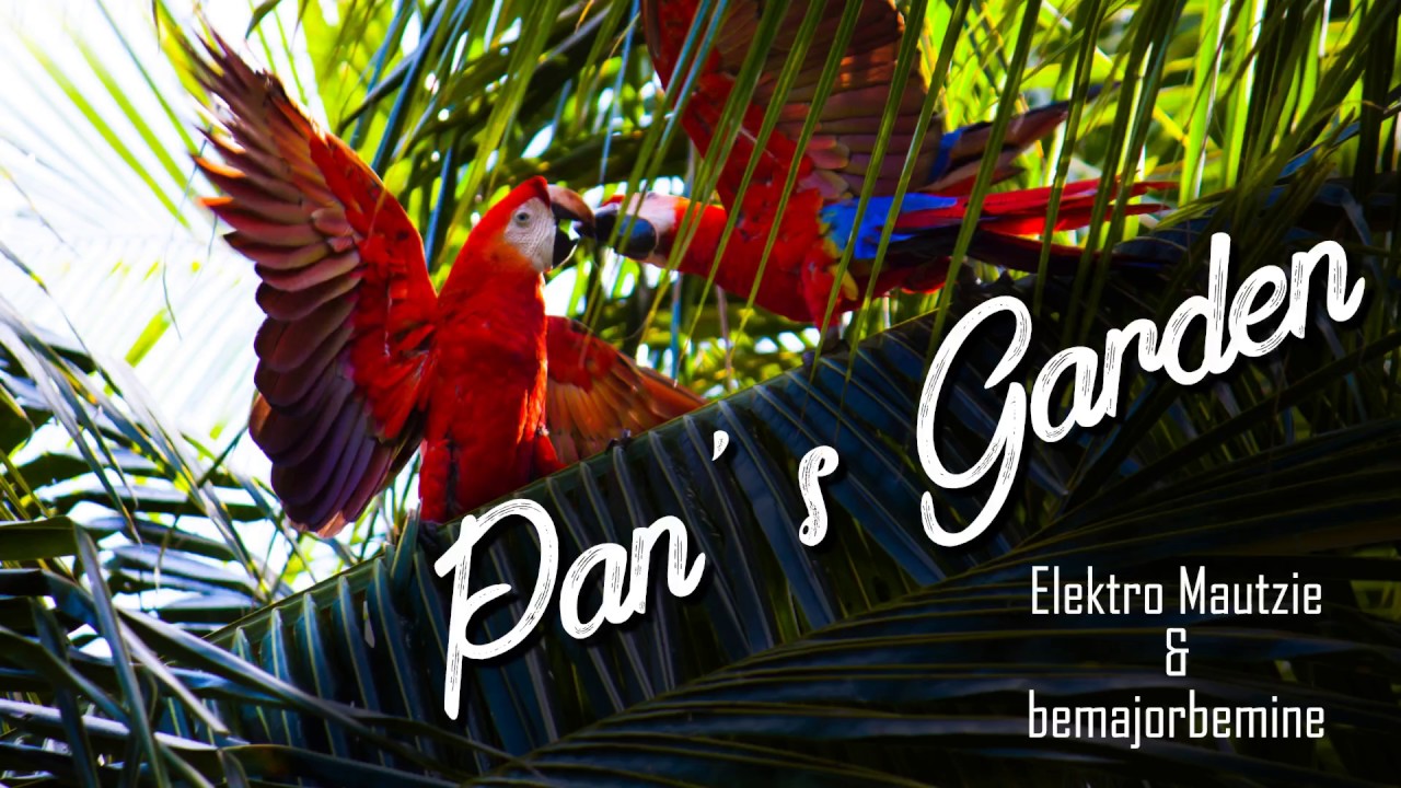 Pan’s Garden Pan’s Garden