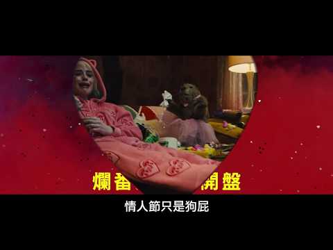 【猛禽小隊：小丑女大解放】情人節快樂......才怪咧