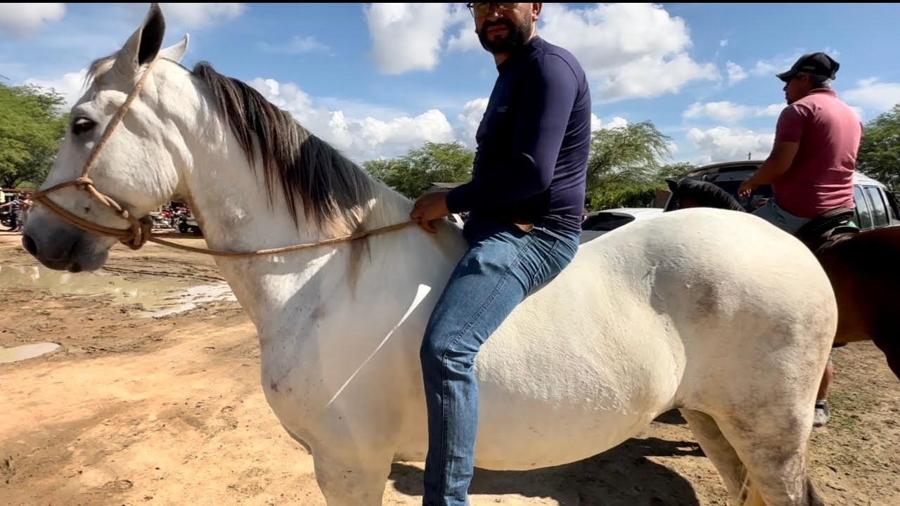 FEIRA DE CAVALOS EM ALTINHO-PE dia 21/02/2026 #nordeste 