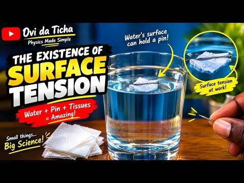 HOW CAN A PIN FLOAT ON WATER? The Physics of Surface Tension!