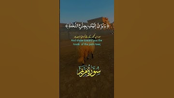 #القران_الكريم #اكسبلور #تيك_توك #المصحف #دويتو #تلاوه_خاشعه #ترند #خيل #duet #لايك
