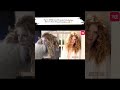 Unbelievable Glow-Up 😍 Hollywood Actresses Then vs Now" #shorts