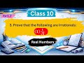 Class 10 Maths Ex 1.2 Q-3 | NCERT Solutions | Prove 1/√2 is Irrational 🤯 | Real Numbers 💯