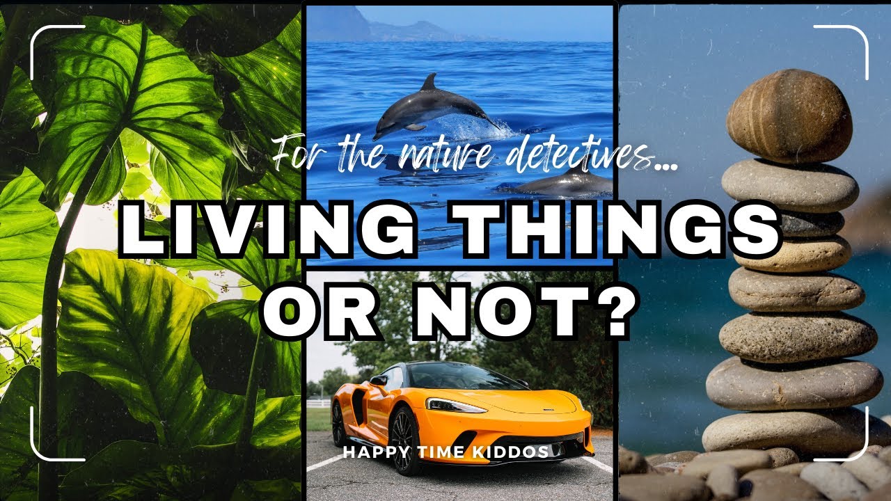 🌿🪑Living Things Or NonLiving Things? Be Nature Detective Fun