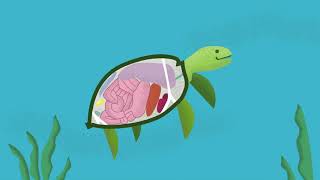 Le Problème Du Plastique Dans Locéan Canadian Geographic