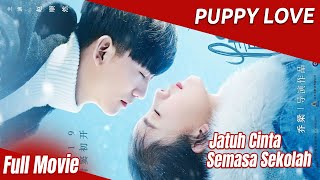 Jatuh Cinta Semasa Sekolah | Puppy Love | Film Cina