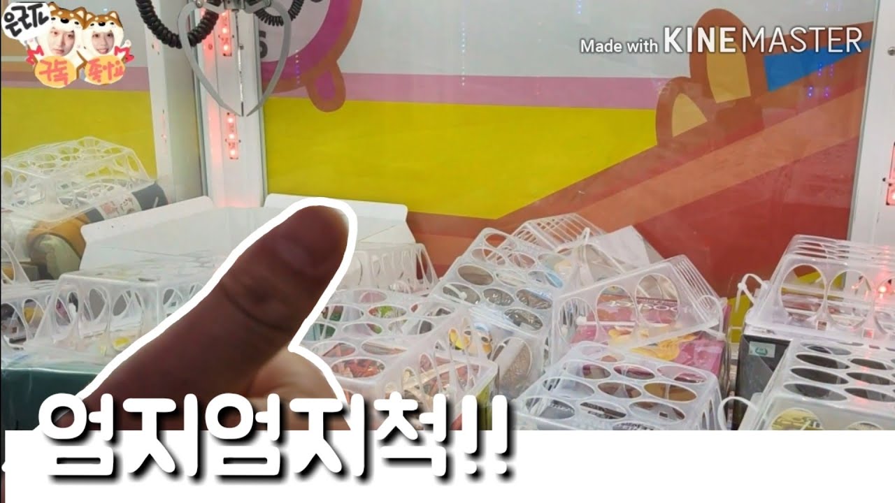 손해보면 안되는 피규어꿀망뽑기