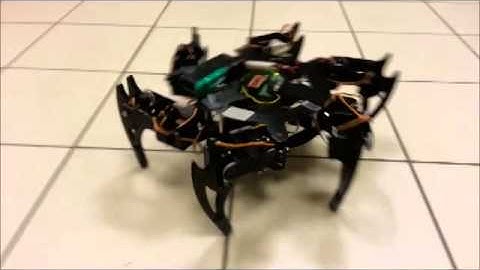 SELU CMPS 375 HEXAPAOD