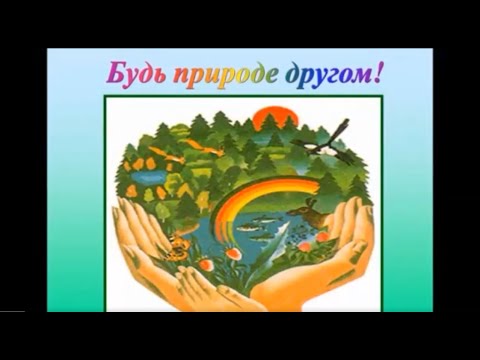Будь природе другом виртуальная экскурсия