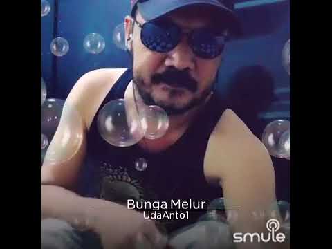 Melayu Song Bunga Melur.... By Tiar Ramon... 🌷🌷🌷🌷
