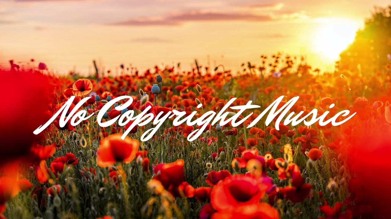 Daniel Levi - Clown Around [NCM Release]