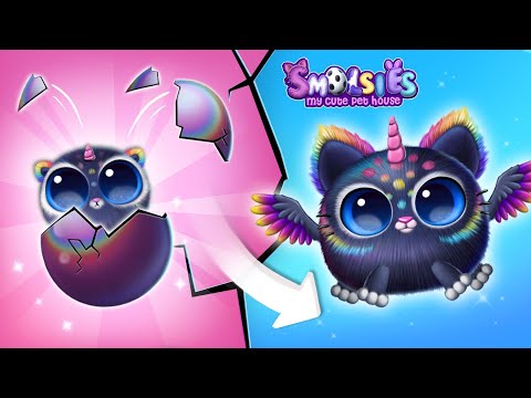 Smolsies - My Cute Pet Casa
