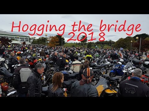 Hogging the bridge 2018