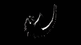 Freefall - Godzilla x Kong Supernova blender animation